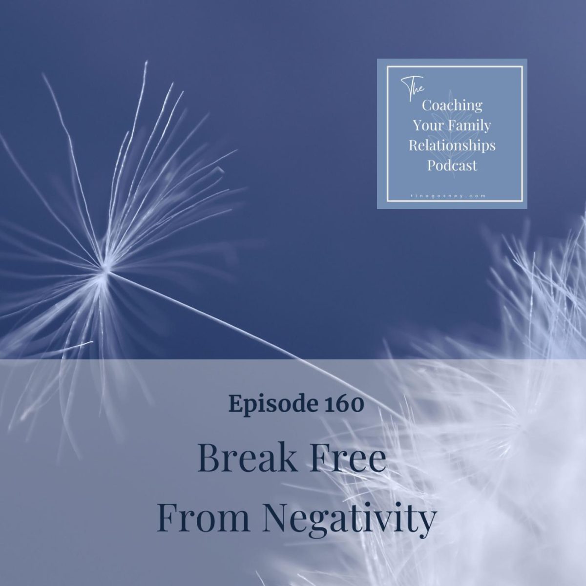 Episode 160 How To Break Free From Negativity (1)